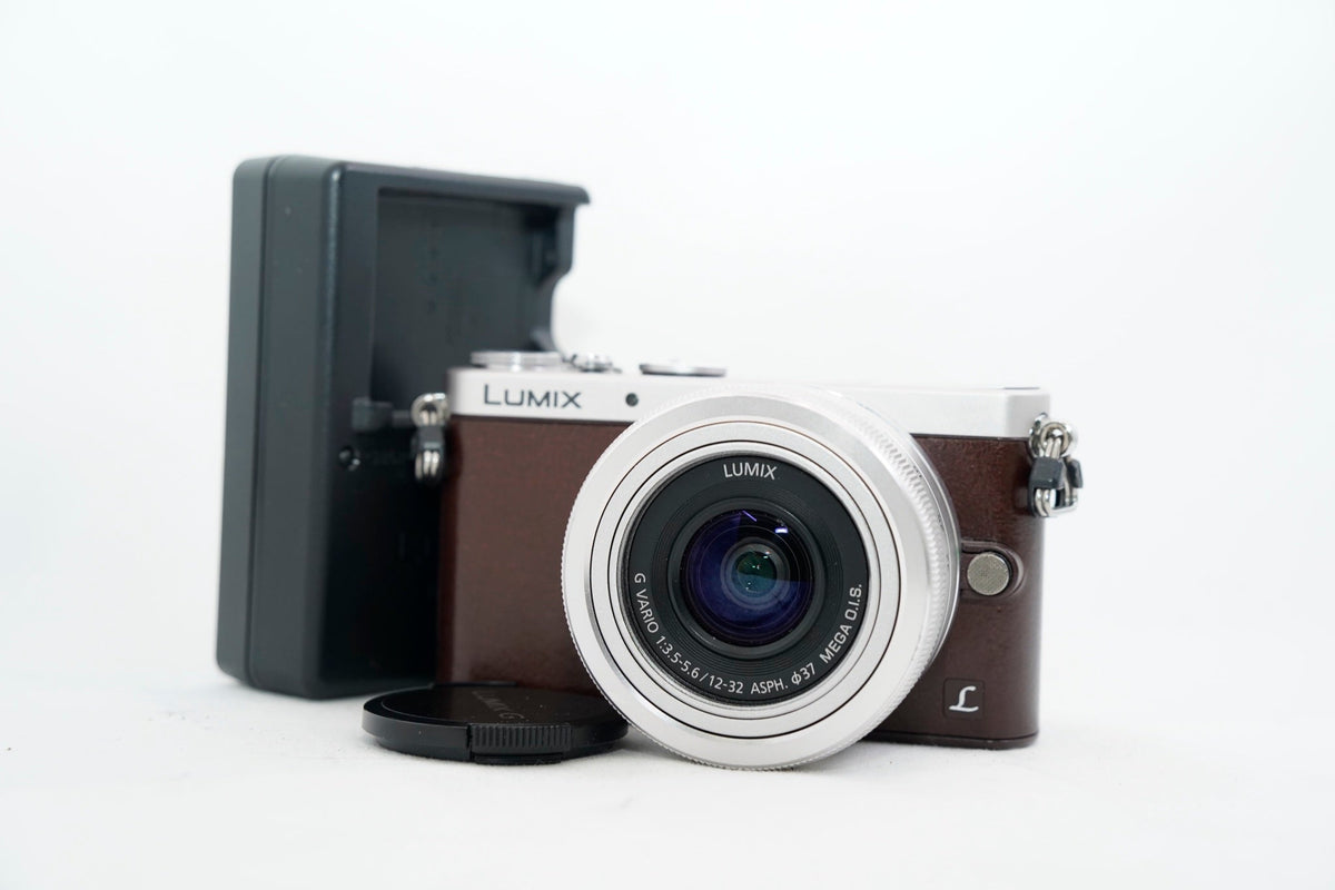 Panasonic DMC-GM1S ブラウン 買取実績