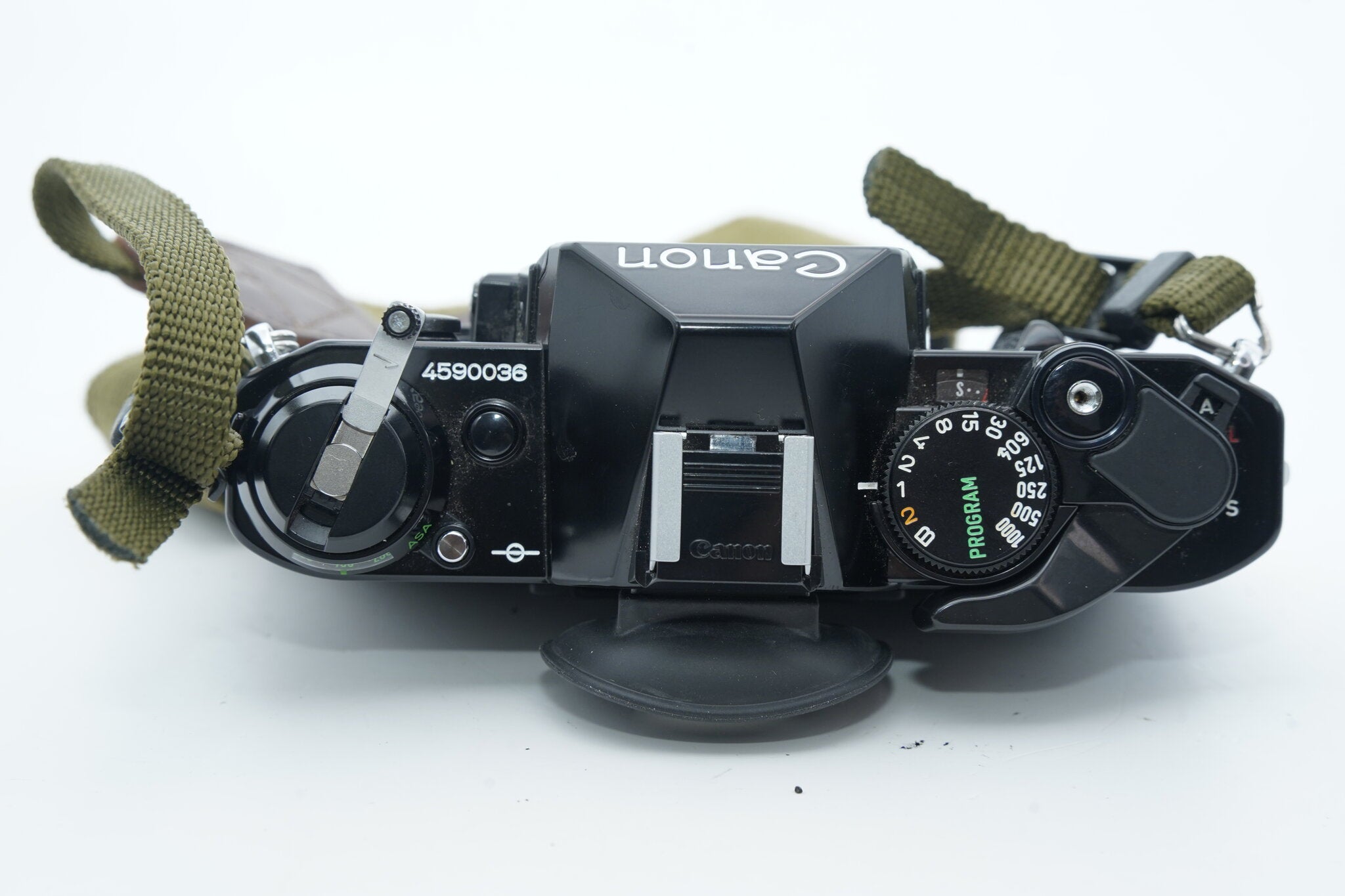 Canon AE-1 PROGRAM / SIGMA ZOOM-MASTER 35-70mm F2.8-4 MULTI-COATED